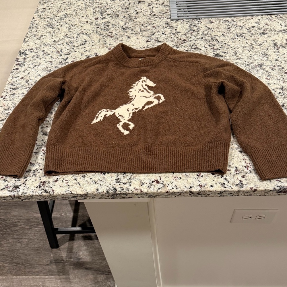 Abercrombie & Fitch Brown Crewneck Sweater with Horse Design